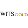 Wits Gold Ltd.