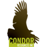 Condor Resources Inc.