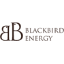 Blackbird Energy Inc.