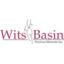 Wits Basin Precious Minerals Inc.