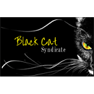 Black Cat Syndicate Ltd.