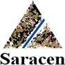 Saracen Mineral Holdings Ltd.