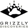 Grizzly Discoveries Inc.