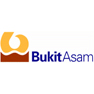 PT Tambang Batubara Bukit Asam Tbk