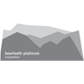Beartooth Platinum Corp.