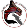 Pacific Iron Ore Corp.