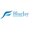 Bluejay Mining plc