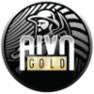 American International Ventures Inc.