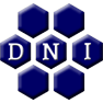 DNI Metals Inc.